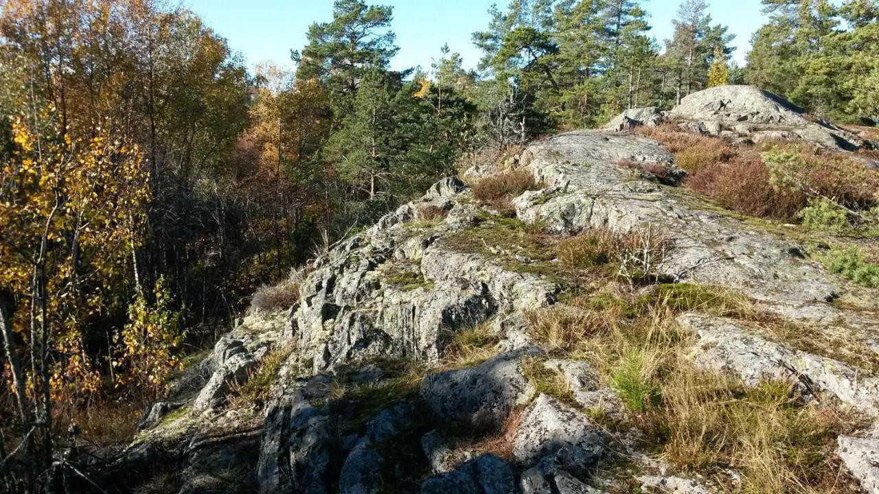 Bed&Breakfast In Nature 12 Min From City Free Bikes Стокгольм Экстерьер фото